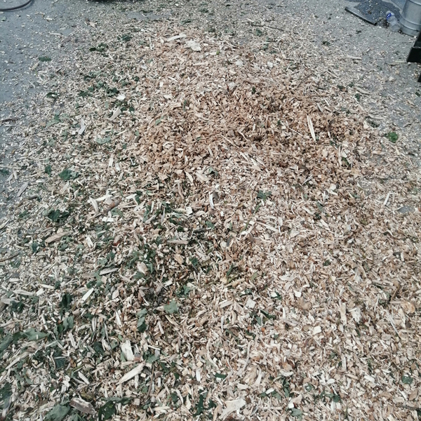 樹枝粉碎機(jī)粉碎效果-桐木粉碎