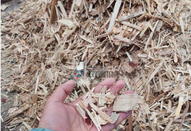 建筑模版破碎機|綜合木材破碎機現(xiàn)場視頻