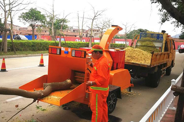 造成樹枝粉碎機產(chǎn)量樹枝粉碎機價格
無法達(dá)標(biāo)的因素有哪些